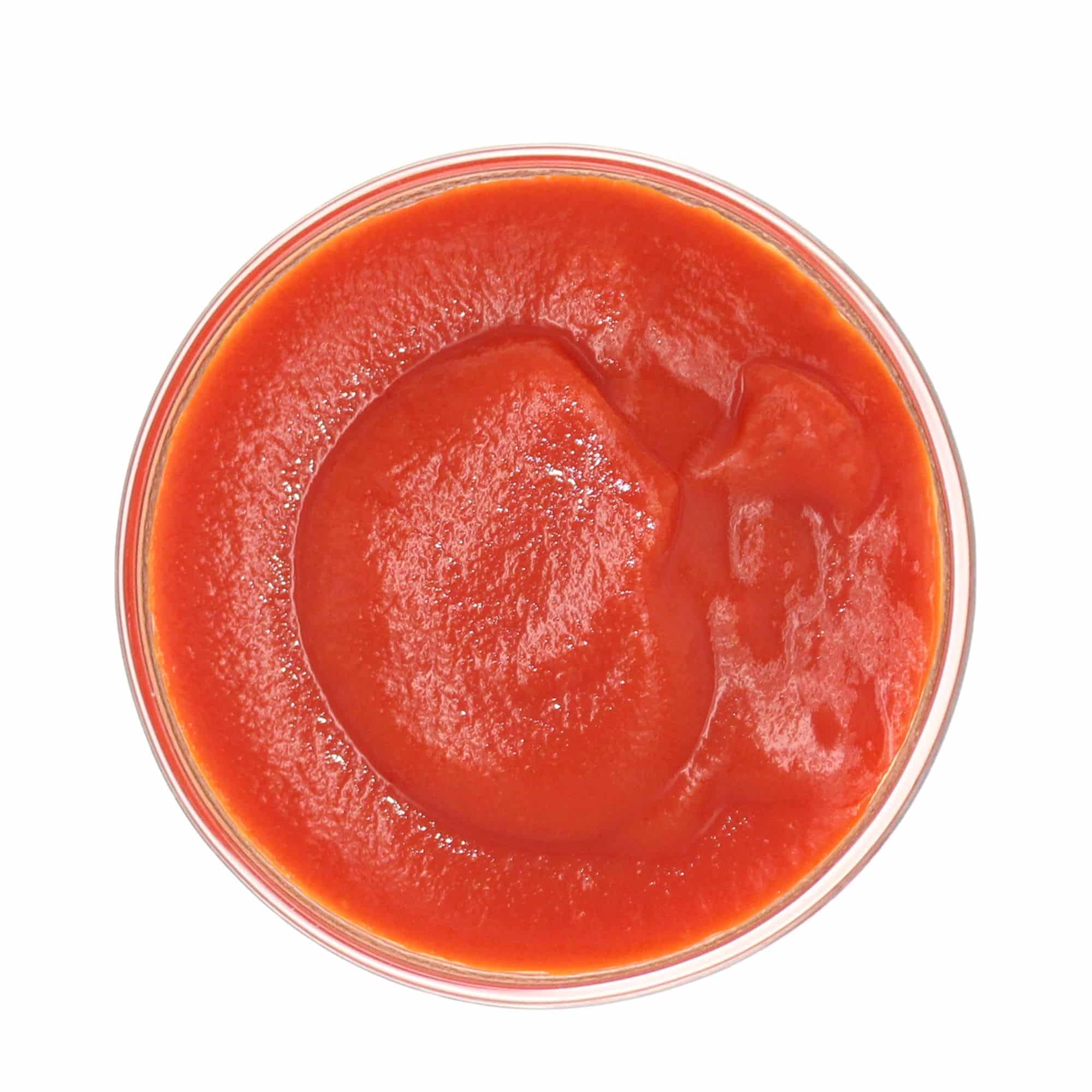 Dei Fratelli Industrial Tomato Catsup 33%