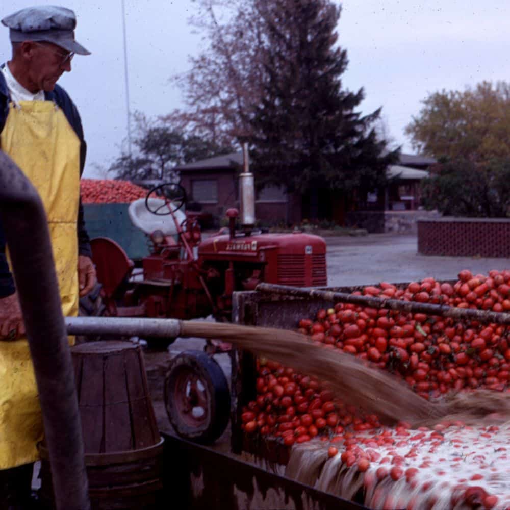 Timeline Image for 1967 Image of the Bulk Unloading System in 1967