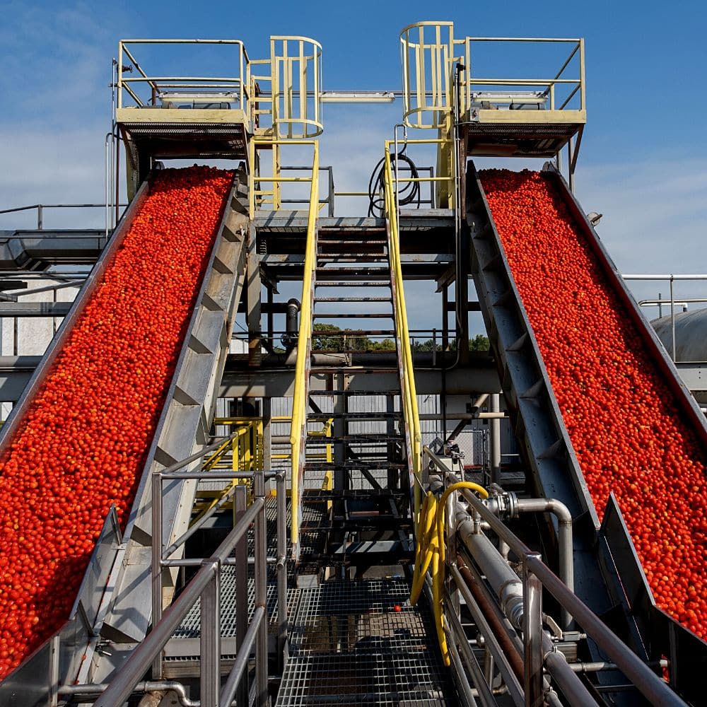 Timeline Image for 2010 Image of our harvesting elevators in Ottawa