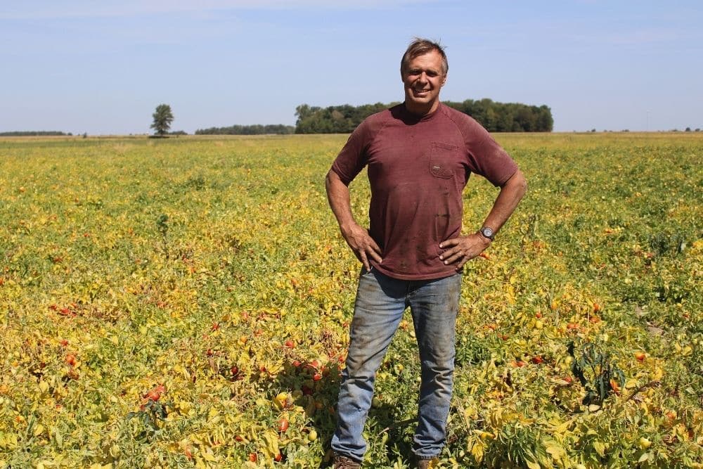 Image of Dei Fratelli Tomatoes with grower's daughter in a local field